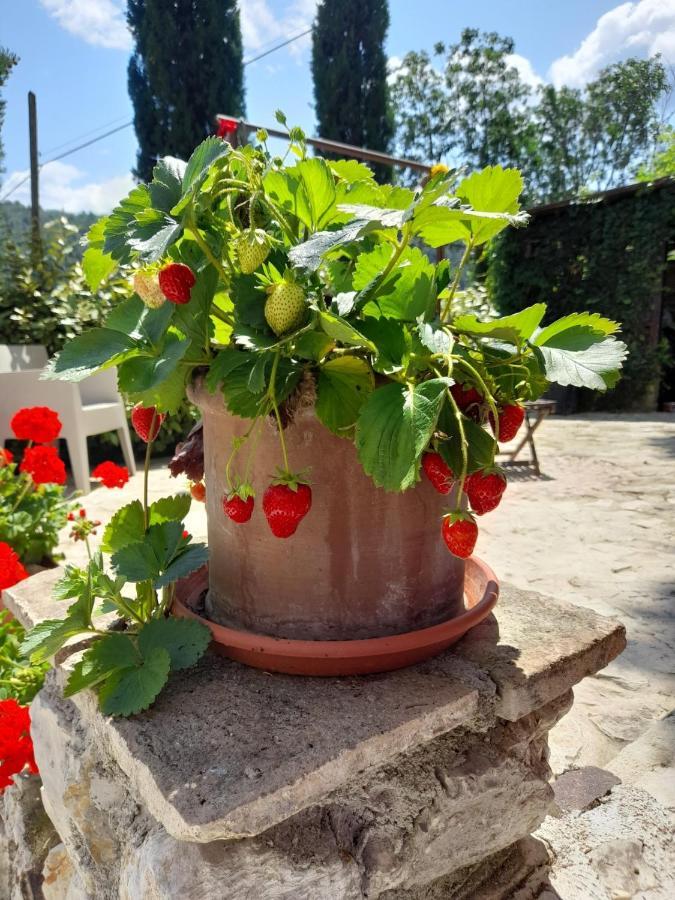 Volver B&B Spoleto Esterno foto